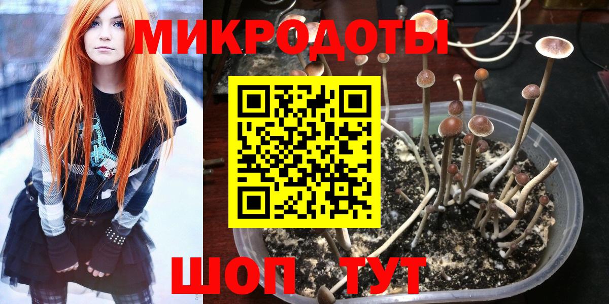 сколько стоит  Псилоцибиновые грибы MAGIC MUSHROOMS  Вход с VPN  Узловая 