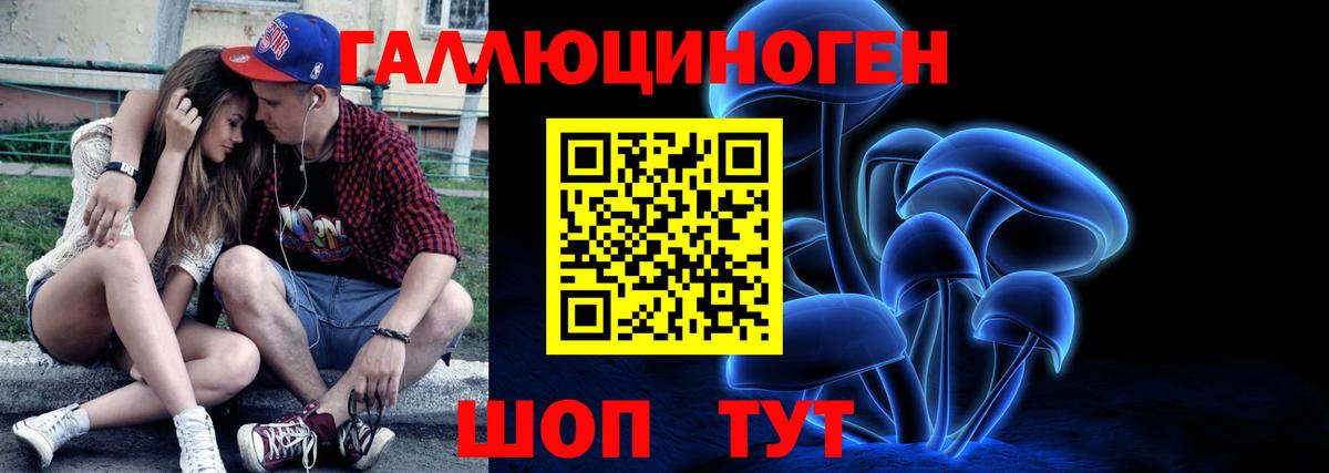 Псилоцибиновые грибы Psilocybe Узловая