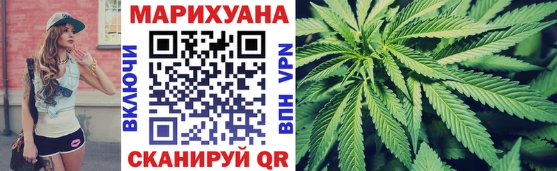 закладка  Узловая  Канабис ГИДРОПОН 